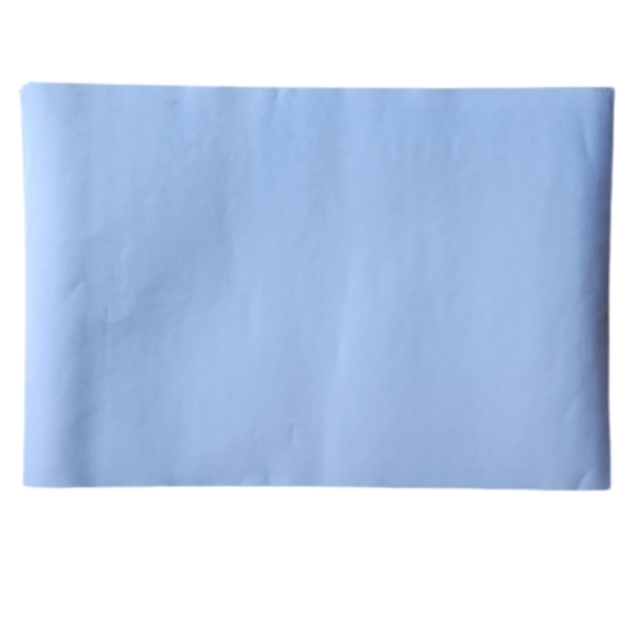 2017 GOV'T MULE CENTRAL PARK SUMMERSTAGE NYC POSTER - Picture 2 of 2